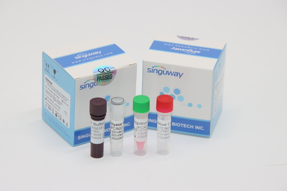 Mycobacterium Tuberculosis Virus RT PCR Diagnostic Kit مسحة الأنف في غضون 30 دقيقة