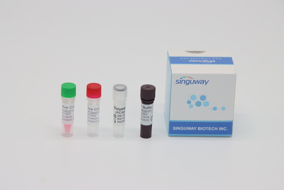 CMV Virus RT PCR Test Kit في الوقت الحقيقي اختبار الحمض النووي ISO13485