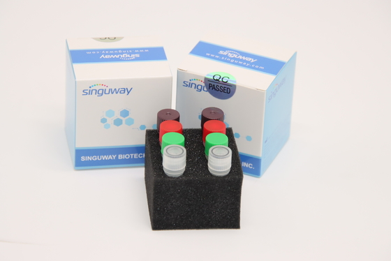 الفلورسنت في الوقت الحقيقي HCV RT PCR Kit HSV2 اختبار كيت مختبر استخدام CE