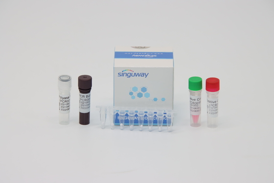 طقم اختبار PCR لفيروس حمى الضنك الدقيق 48 96 اختبارًا لكل مجموعة 20 وحدة حجم رد فعل