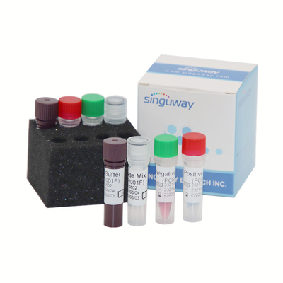مجموعة أدوات الكشف عن الأحماض النووية في الوقت الحقيقي Influenza PCR Kit 48 96 Tests / Box