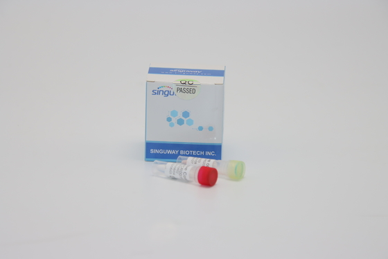 اختبار الأحماض النووية Dengue RT PCR Kit مسحة الأنف الفلورية RT PCR Kit