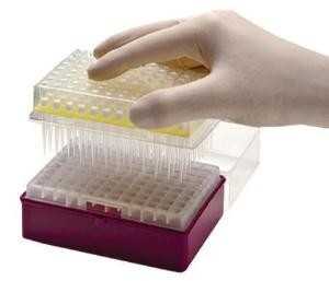 نصائح ماصة PCR الاستهلاكية في المختبر نصائح الماصة المجهرية يمكن التخلص منها 10-1250μL