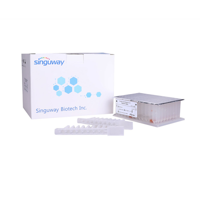 طقم تنقية الحمض النووي الفيروسي من الحمض النووي طقم تنقية الحمض النووي الريبي بالخرز المغناطيسي Singuway