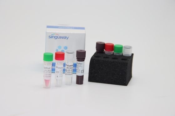 Boca Virus HBoV RT PCR Swab Test Kit ISO9001 مجموعة اختبار الفلورسنت الكمي PCR