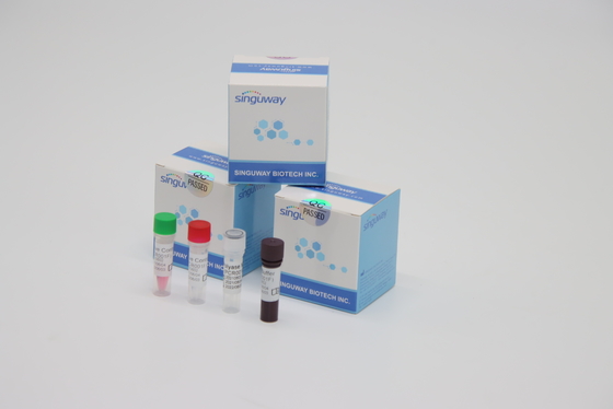 طقم اختبار كاشف RT PCR عالي الثبات للكشف عن فيروس Varicella Zoster VZV