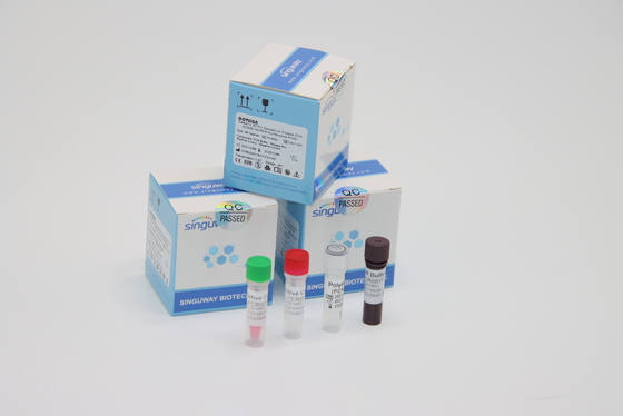 المختبر باستخدام مجموعات اختبار RT PCR مرض فيروس كورونا السريرية LP Virus PCR Media Dual Swab Sample Kit