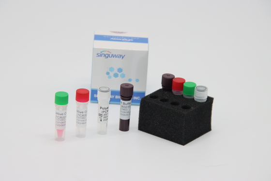 مسحة من الفم عالية الدقة RT PCR Collection Kit IVD Lab كاشف لاختبار فيروس ADV