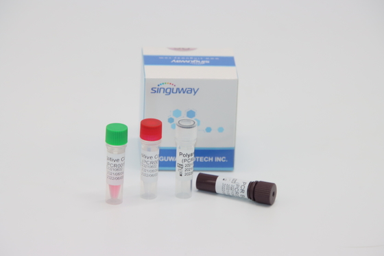 التشخيص الجزيئي الكمي RT PCR Test Kit في الوقت الحقيقي لفيروس HPV Tox Virus