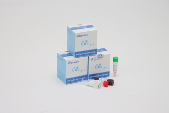 Rapid RSV Virus Instant RT PCR Test Kit POCT IVD التشخيص السريري عالية الدقة