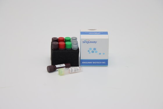 CE One Step Real Time PCR Kit HSV Rapid Test Kit لفيروس التهاب الكبد B.