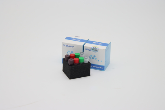 حساسية عالية 6 قنوات متعددة مجموعة Pcr في الوقت الحقيقي لاختبار طفرات مرض فيروس كورونا 19