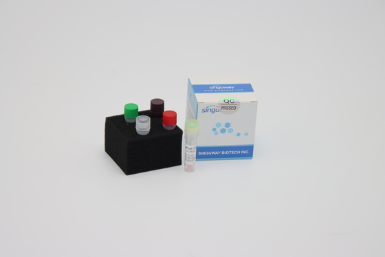 HBV HCV Real Time PCR Detection Kit PCR Amplification Kit 20uL حجم رد الفعل
