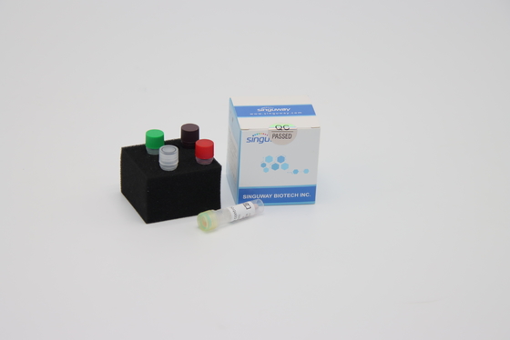 HIFi Polymerase DNA النسخ العكسي PCR Kit RT كواشف PCR Singuway