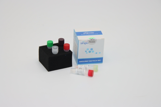 مطلوب كواشف مجموعة DNA PCR لفيروس داء الكلب فائق السرعة من أجل تفاعل البوليميراز المتسلسل