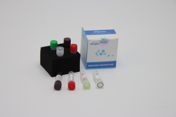 طقم اختبار PCR لفيروس أنفلونزا الطيور 48 96 مجموعة اختبار مسحة الأنف