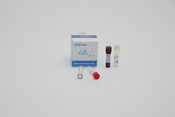 عينة مسحة فموية ISO13485