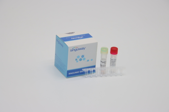 التشخيص السريري IVD الوقت الحقيقي الكواشف PCR الإسفار التحقيق خطوة واحدة مجموعة PCR