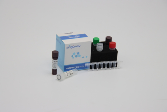 التشخيص الجزيئي كاشف مجموعة PCR الكمي ISO13485 في غضون 30 دقيقة