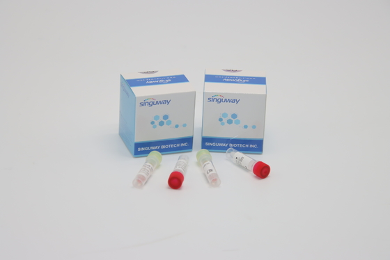CE PCR Swab Test Kit مجموعات اختبار التهاب الكبد B و C التشخيص السريري