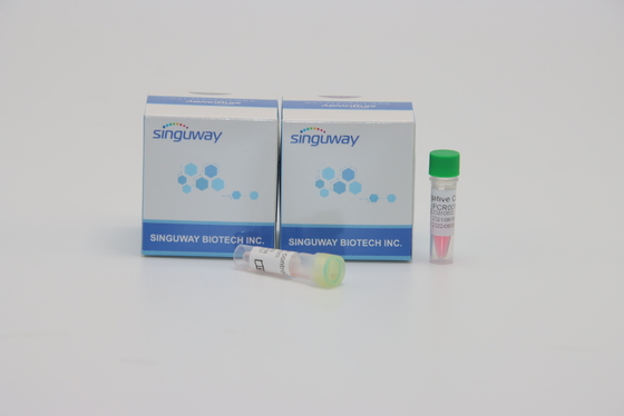 مجموعة Singuway HSV II Virus PCR Detection Kit الفلورية الكمية للاختبار الجيني