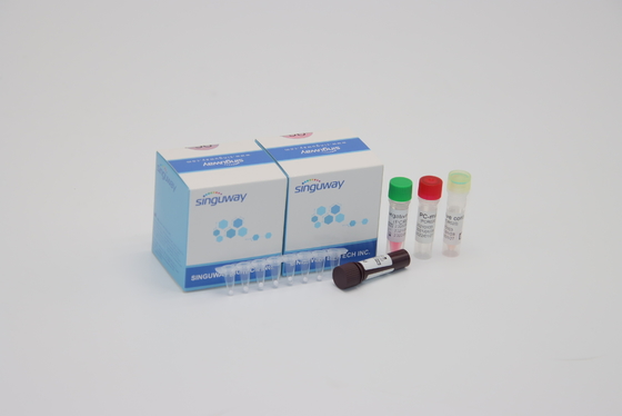 طقم تشخيص الجهاز التنفسي المخلوي الفيروسي RT PCR طقم الكشف RSV PCR مسحة الأنف
