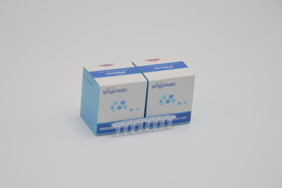 عالية الاستقرار HCV الوقت الحقيقي PCR كيت HBV التهاب الكبد B سريع اختبار كيت كاشف مختبر ISO13485