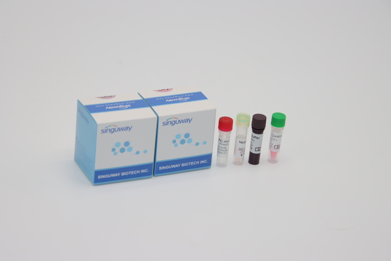 مجموعة طفرات جاما ألفا بيتا دلتا خطوة واحدة مجموعة QPCR مسحة الفم للاستخدام في المختبر