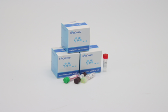 CE Coronavirus Test مجموعات تشخيص PCR في الوقت الحقيقي فائقة السرعة في غضون 30 دقيقة