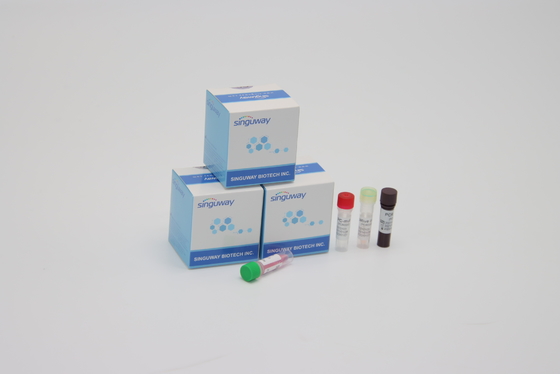 مجموعة أدوات الكشف عن تفاعل البوليميراز المتسلسل عالية الحساسية لطفرات جاما ألفا بيتا دلتا لاستخدامها في المختبر