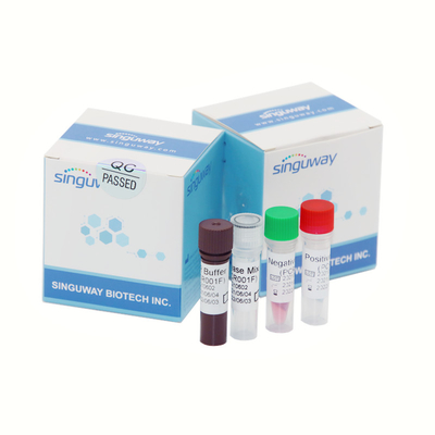 مسحة الأنف مرض فيروس كورونا أوميكرون طفرة PCR الكشف عن اختبار التشخيص الجزيئي