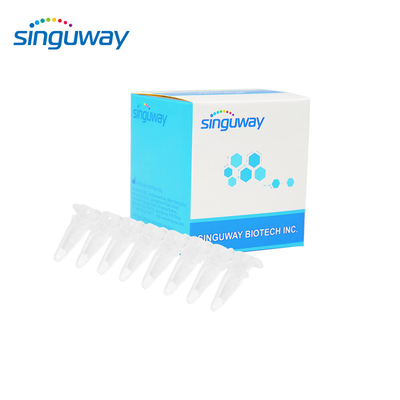 15 نوعًا من HPV Real Time PCR Kit 40uL مجموعة HPV PCR النوعية للإنسان